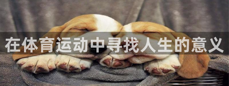 MK体育官方正版app神州:在体育运动中寻找人生的意义