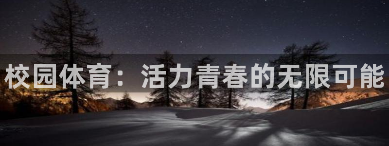 MK体育官网下载是干嘛的公司:校园体育:活力青春的无限可能