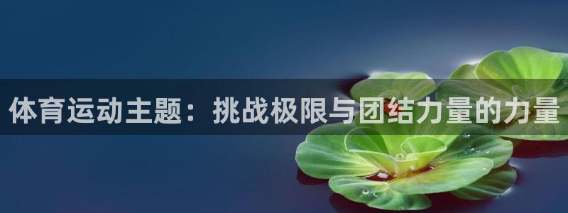 MK体育官网下载注册:体育运动主题:挑战极限与团结力量的力量