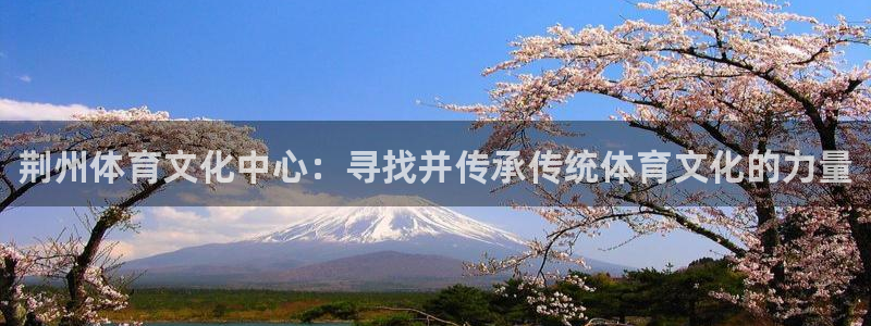 MK体育官网下载招商电话号码是多少啊:荆州体育文化中心:寻找