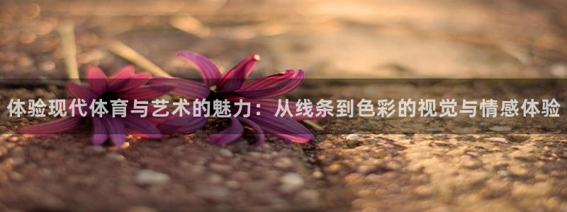 MK体育官方正版app开户:体验现代体育与艺术的魅力:从线条